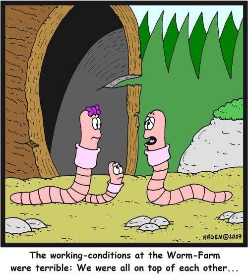 'The working-conditions at the Worm-Farm were terrible: We were all on top of each other...'