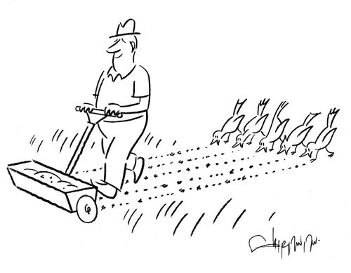 Bird seed.