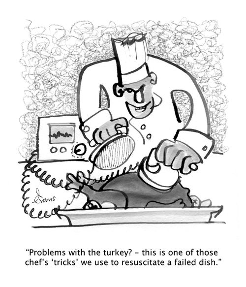 "Problems with the turkey? - this is one of those chef's 'tricks' we use to resuscitate a failed dish."