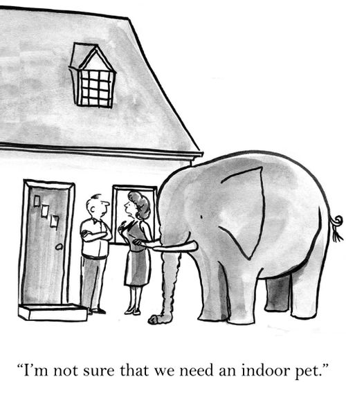'I'm not sure that we need an indoor pet.'