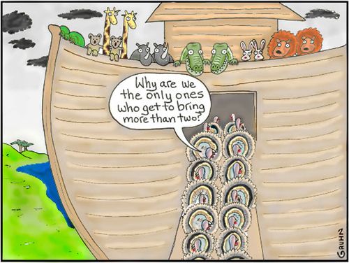 Noahs Ark