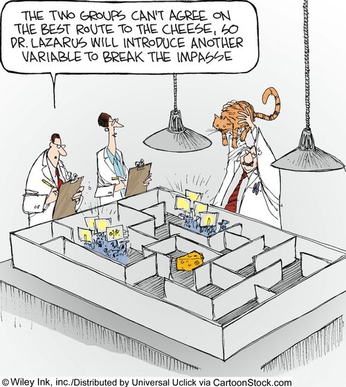 'The two groups can't agree on the best route to the cheese, so Dr. Lazarus will introduce another variable to break the impasse.'