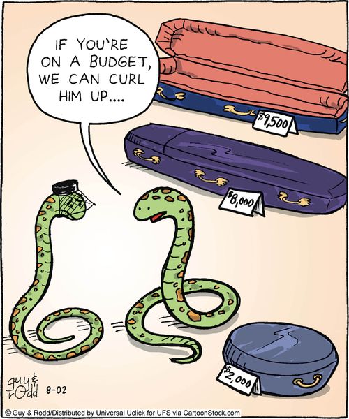 'If you're on a budget, we can curl him up.'