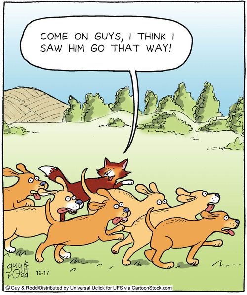 'Come on guys, I think I saw him go that way!'