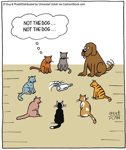 'Not the dog, not the dog, , ,'
