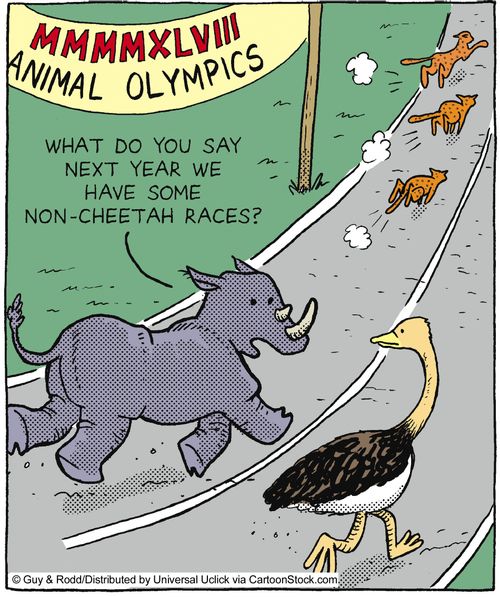 Animal Olympics: 'What do you say next year we have some non-cheetah races?'