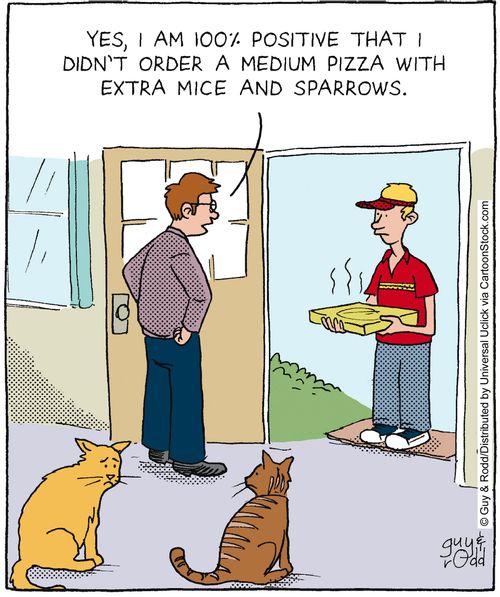 'Yes, I am 100% positive that I didn't order a medium pizza with extra mice and sparrows.'
