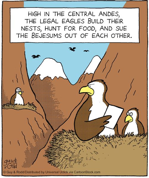 High in the central Andes, the legal eagles build their nests, hunt for food and suet the bejesums out of each other.