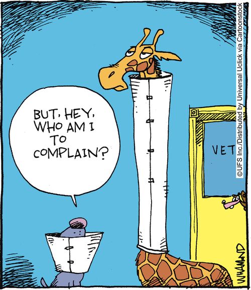 'But hey, who am I to complain?'