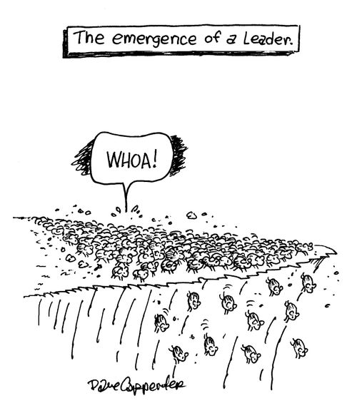 The emergence of a leader.