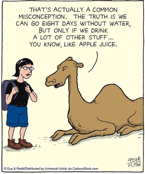 'That's actually a common misconception. The truth is we can go eight days without water, but only if we drink a lot of other stuff...you know, like apple juice.'