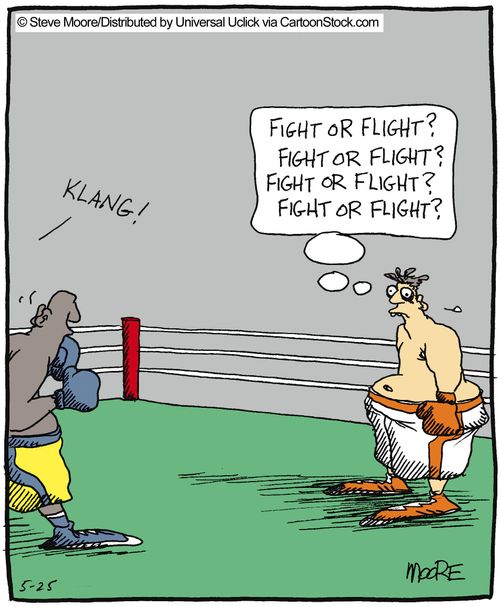 Fight or flight?