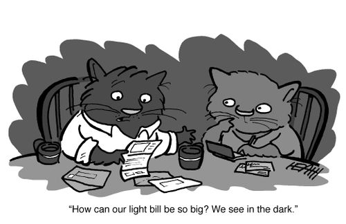 'How can our light bill be so big? We see in the dark.'