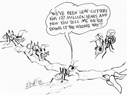 "We've been leaf-cutters for 127 million years, and now you tell me we're doing it the wrong way?"