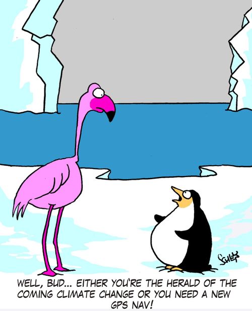 "Well, bud... either you're the herald of the coming climate change or you need a new GPS nav!"