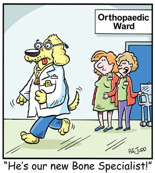 'He's our new Bone Specialist!'