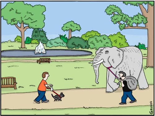 Elephant Poop Scoop