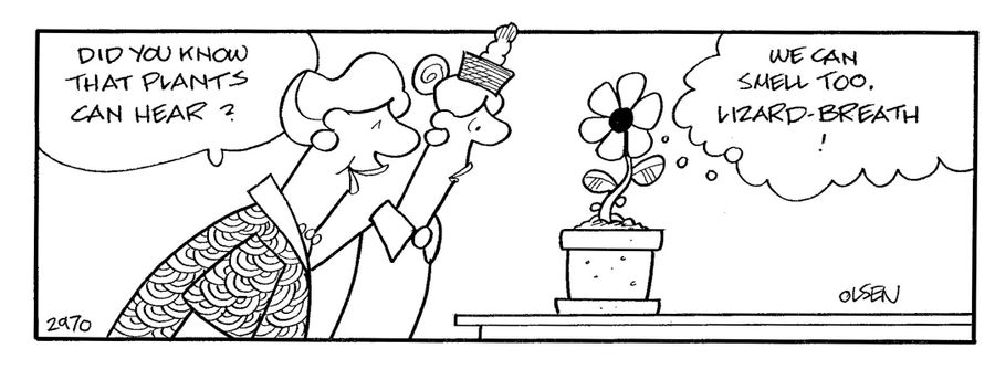 Did you know that plants can hear