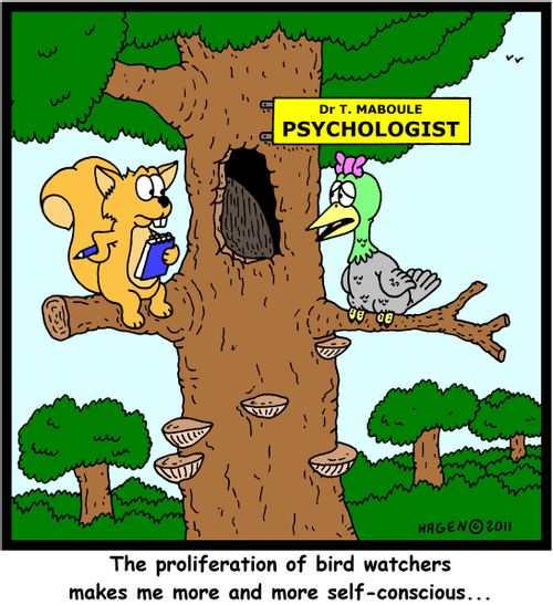 'The proliferation of bird watchers make me more and more self-conscious...'