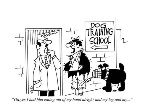 'Oh, yes I had him eating out of my hand alright-and my leg-and my....'