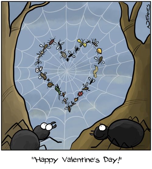 Spider Valentine's Day