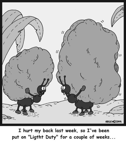 'I hurt my back last week, so I've been put on 'Light Duty' for a couple of weeks...'