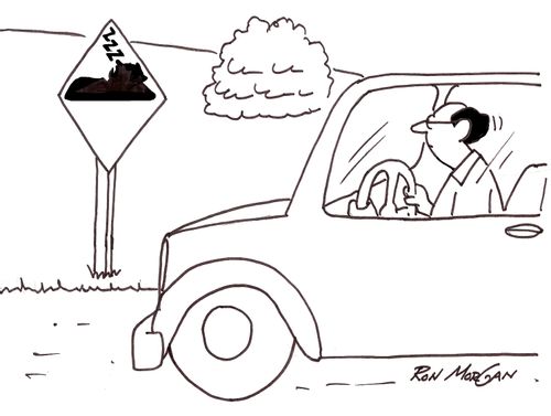 Driver sees road sign designating area as a bedroom community.