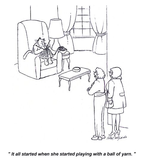 'It all started when she started playing with the ball of yarn.'
