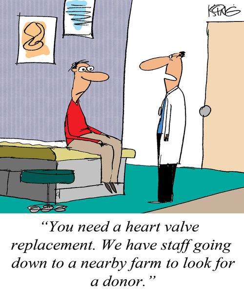 'You need a heart valve replacement. We have staff going down to a nearby farm to look for a donor.'