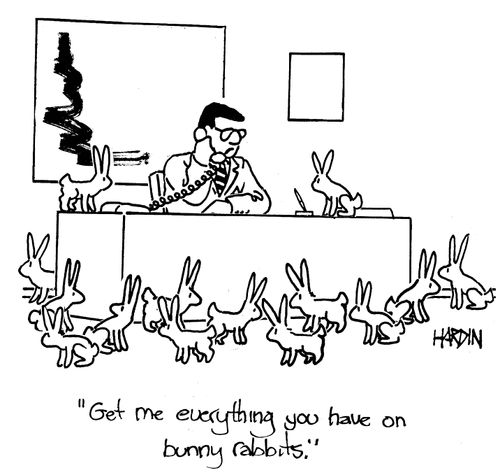 'Get me everything you have on bunny rabbits.'