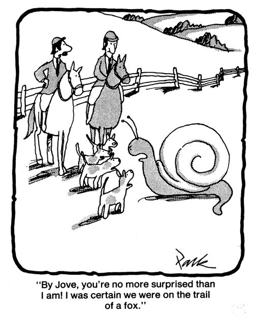 'By Jove, you're no more surprised than I am! I was certain we were on the trail of a fox.'