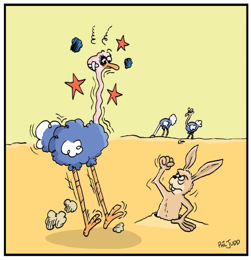 Ostrich with a black eye. Rabbit shaking his fist at the ostrich.