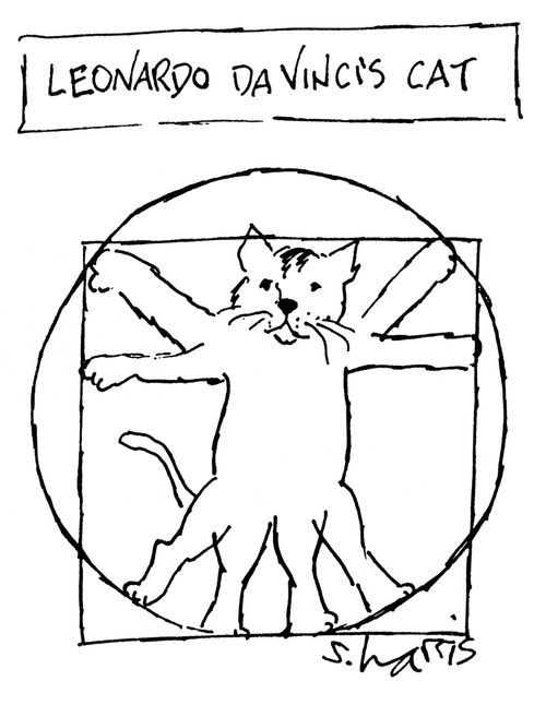 Leonardo Da Vinci's Cat.