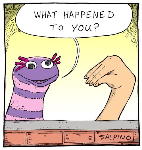 "What happened to you?"