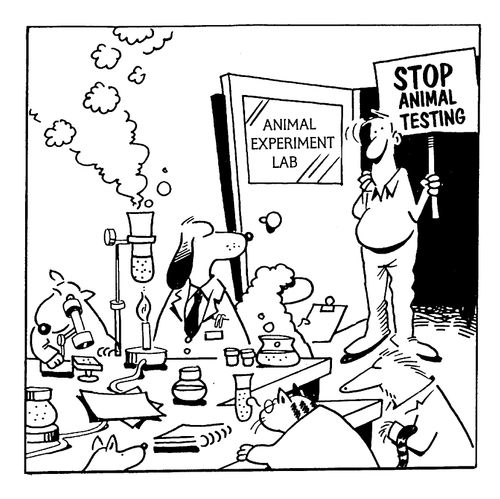 Stop Animal Testing