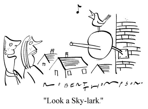 "Look a Sky-lark"