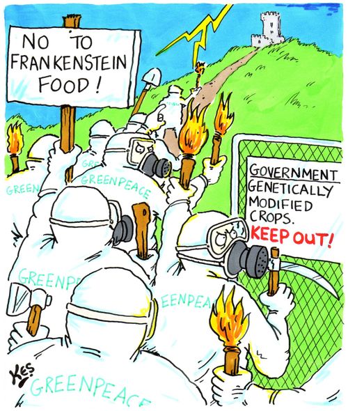 Genetically modified crops(Frankestein food).Keep out.