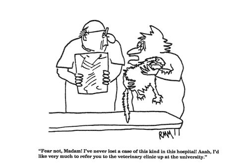 'Fear not, Madam!  I've never lost a case of this kind in this hospital!...