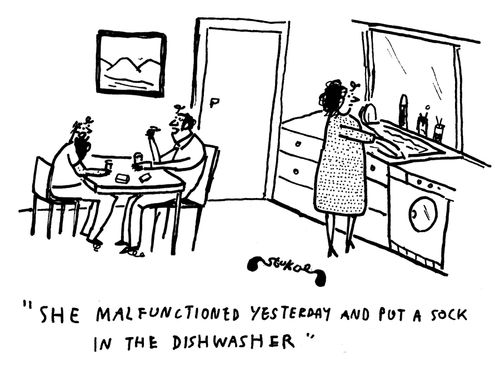 'She malfunctioned yesterday and put a sock in the dishwasher.'