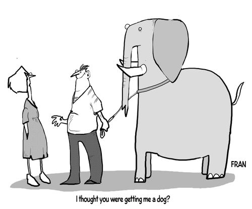 "I thought you were getting me a dog?"