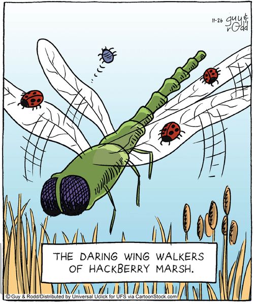 The Daring Wing Walkers of Hackberry March.