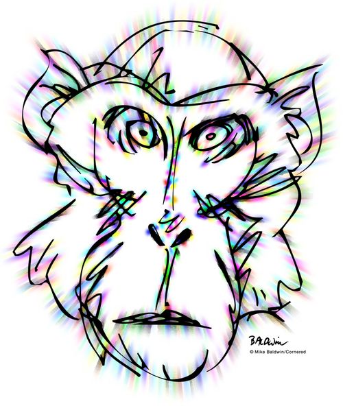 Year of the Monkey 2016