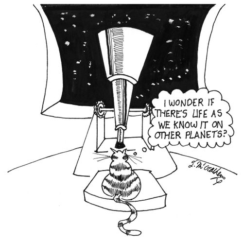 "I wonder if there's life as we know it on other planets."