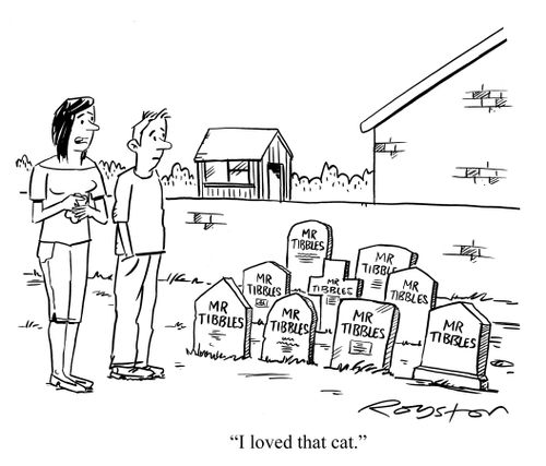 Woman looks at nine graves reading 'Mr Tibbles', saying: 'I loved that cat.'