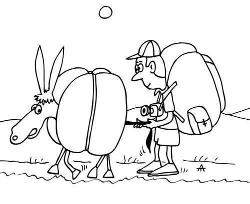 Tourist pulls on a donkey's tail.