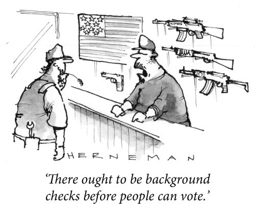 'There ought to be background checks before people can vote.'