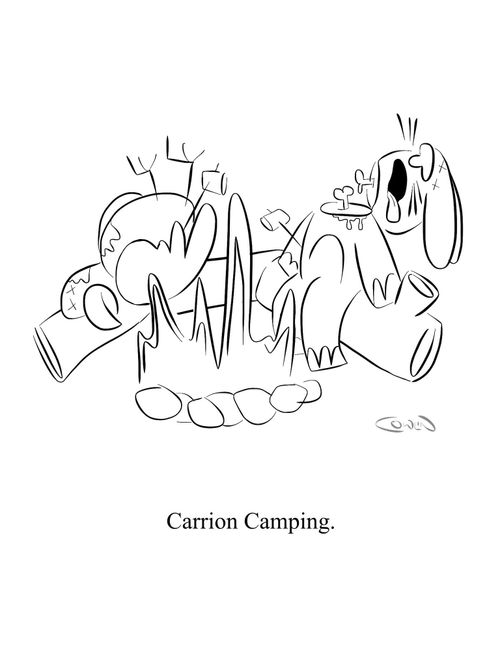 Carrion Camping