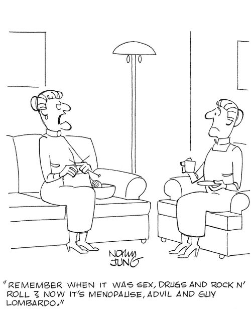 'Remember when it was sex, drugs and rock n' roll? Now it's menopause, Advil and Guy Lombardo.'