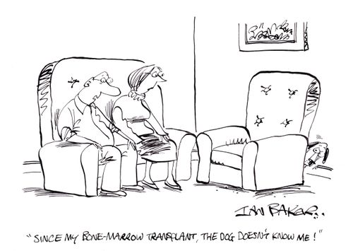 'Since my bone marrow transplant, the dog doesn't know me!'