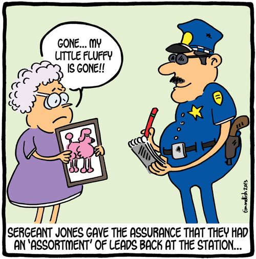 Sergeant Jones gave the assurance that they had an 'assortment' of leads back at the station. . .